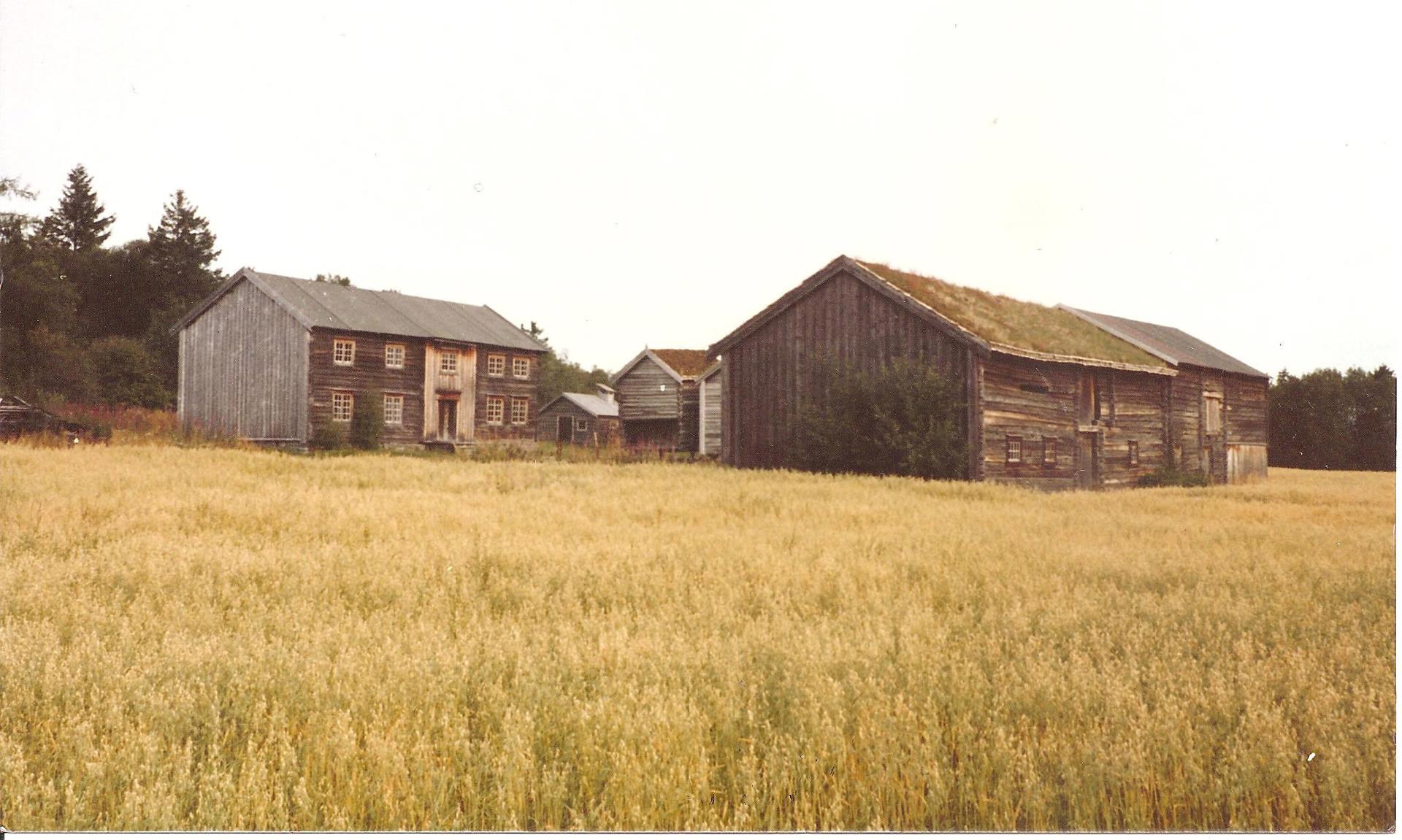 Moltrom i Meråker: GARDEN SOM FLYTTA TIL BYEN