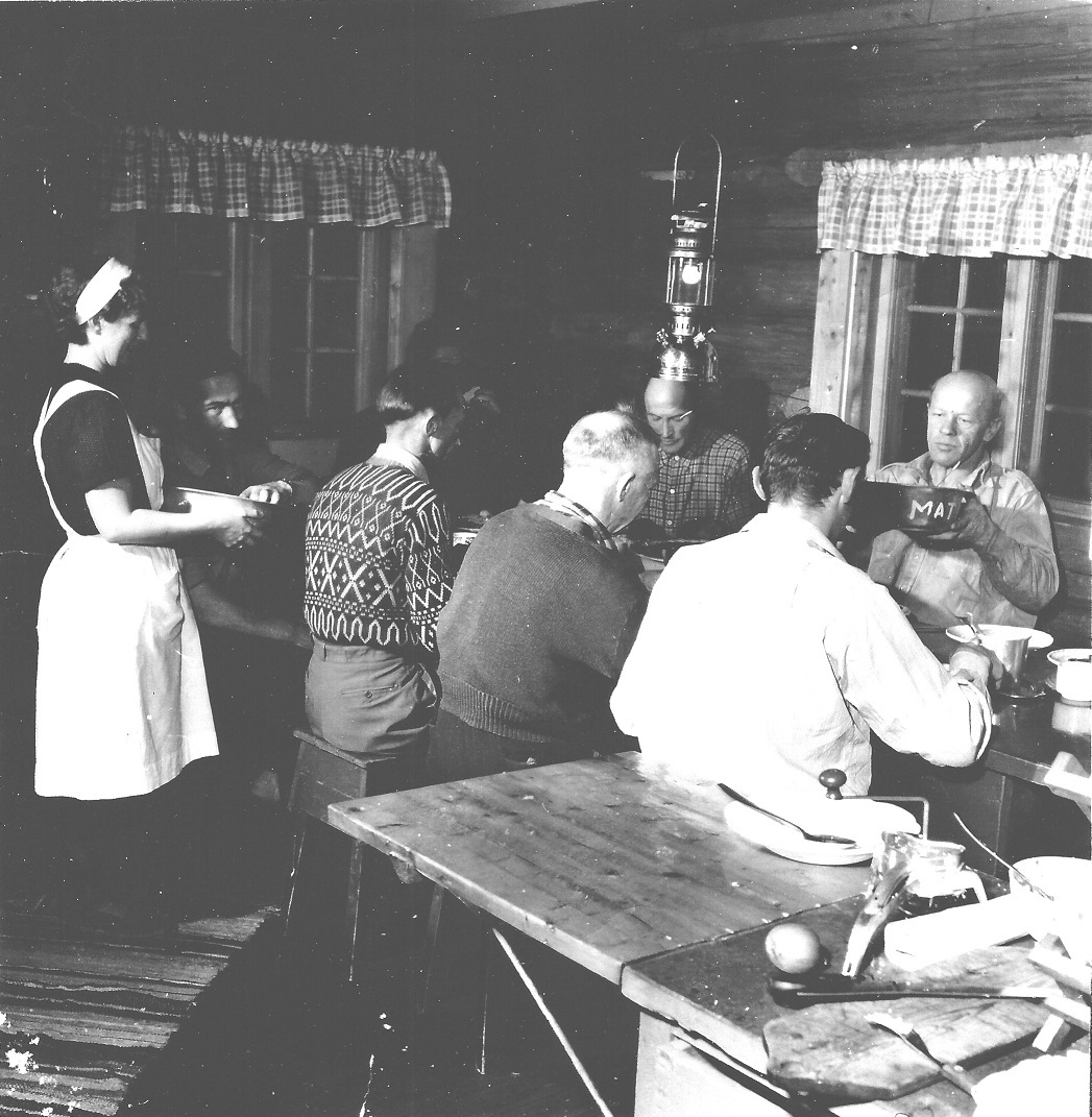 Moltrom i Meråker: SKOGSTUENE I MERÅKER