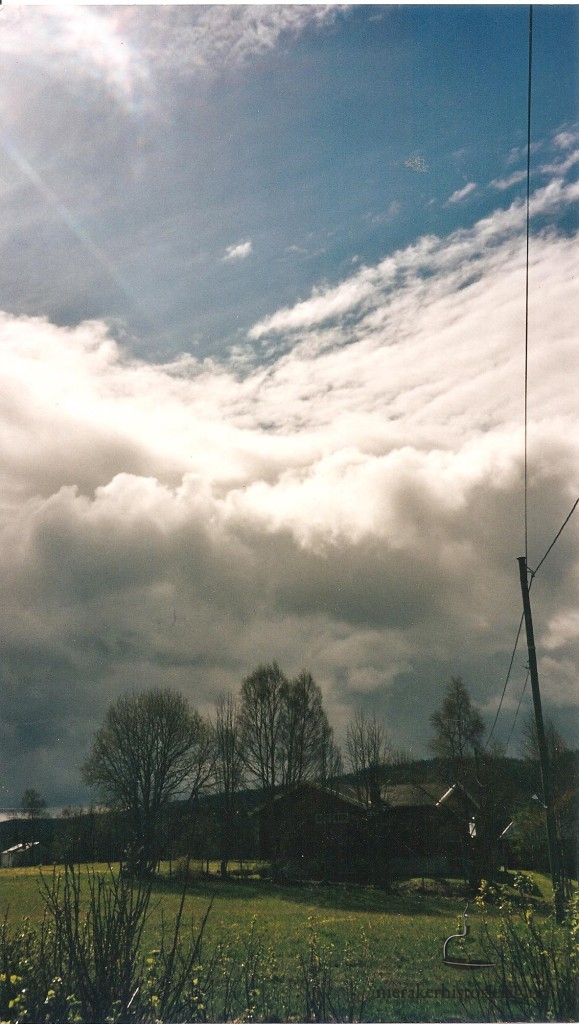 Moltrom i Meråker: PÅLSFLEKKEN